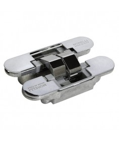 Скрытая петля HH-2