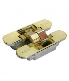 Скрытая петля HH-4